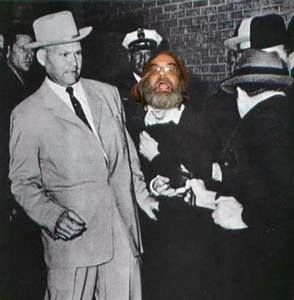 Meet your Posher, Alan